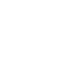 skoupil